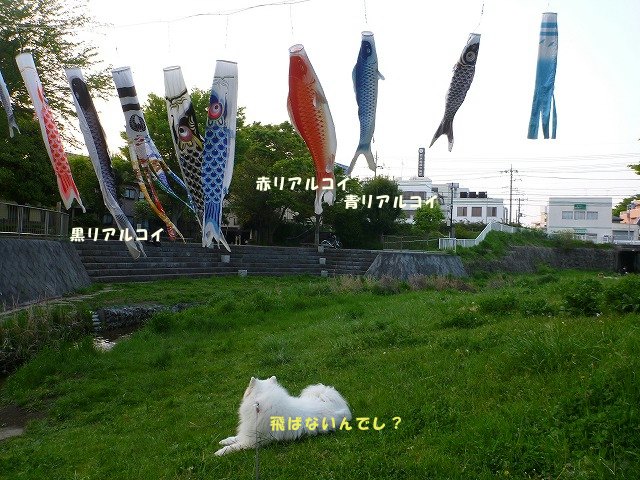 e0176159_21465388.jpg