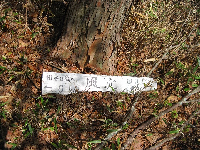c0219866_1641934.jpg