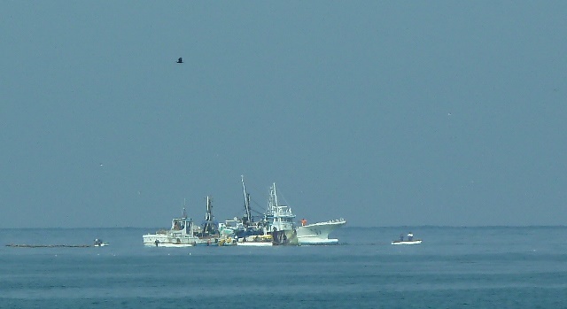 e0278968_22190060.jpg