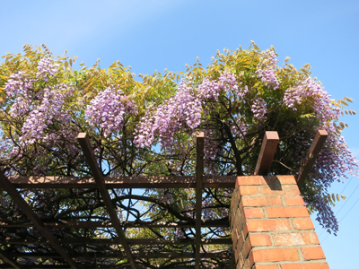 c0117570_1392276.jpg