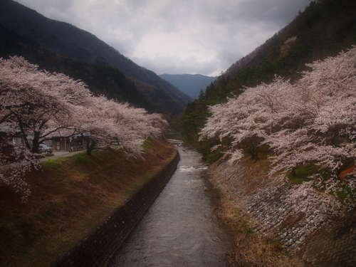b0011771_061559.jpg