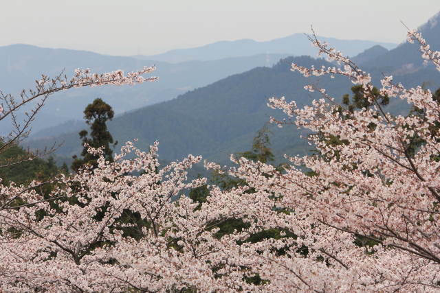 b0055171_15572279.jpg
