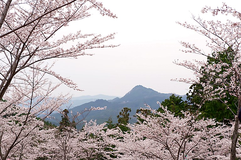 a0050572_1661767.jpg