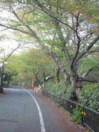 e0161972_19425850.jpg