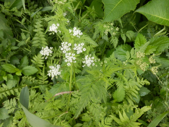 e0292172_20543955.jpg