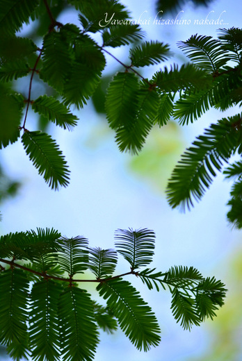 c0269677_17104997.jpg