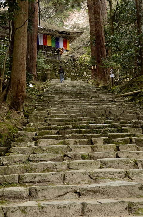 f0108478_1124076.jpg