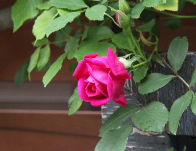 e0154682_22461003.jpg