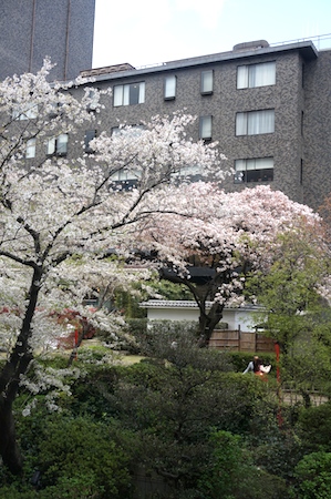 e0194987_1110486.jpg