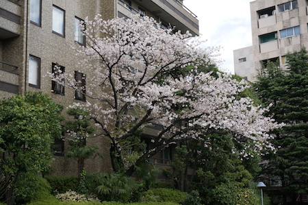 e0194987_11121328.jpg