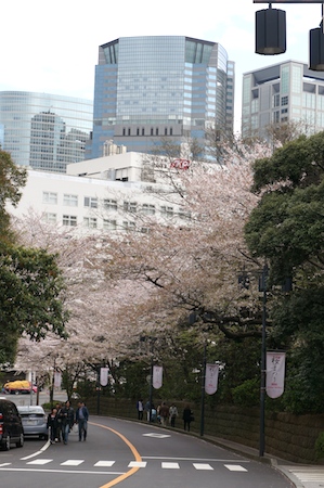 e0194987_11122143.jpg