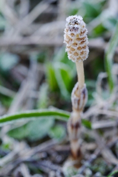 b0226089_2052136.jpg