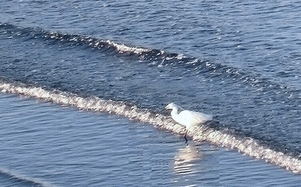 e0143690_15125495.jpg