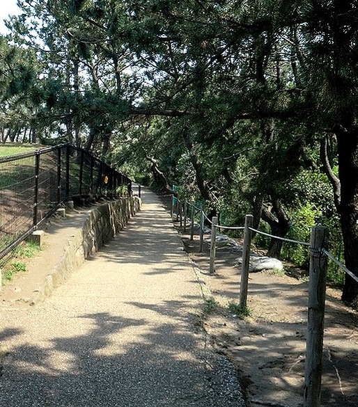 e0143690_15131791.jpg