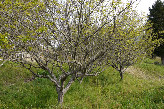 f0222692_198517.jpg