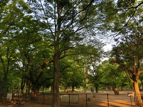 a0319693_21415418.jpg