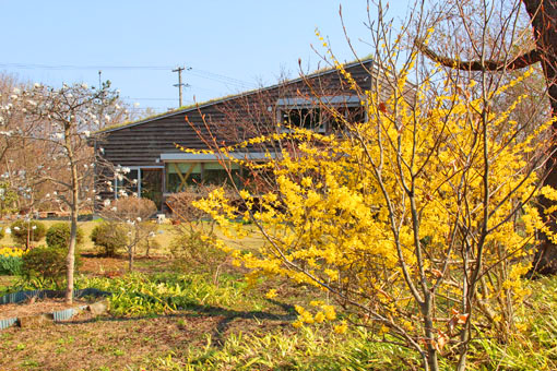 e0054299_1014610.jpg