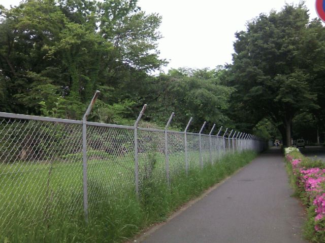 b0314000_13255594.jpg