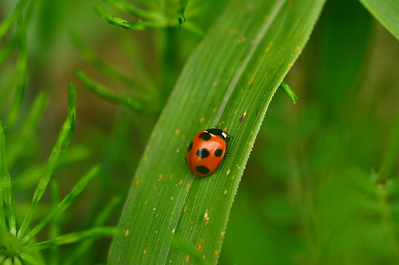 f0083400_22253884.jpg