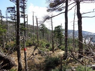 b0326303_10160190.jpg