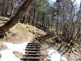 b0326303_10253729.jpg