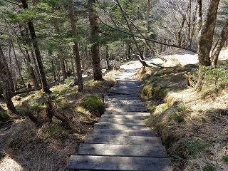 b0326303_10263514.jpg