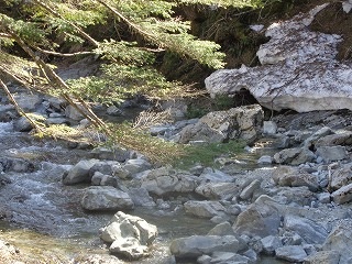 b0326303_10275635.jpg