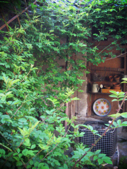 d0077603_10493982.jpg