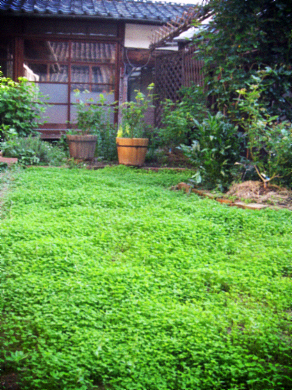 d0077603_1050376.jpg