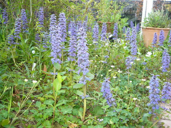 a0139007_18364813.jpg