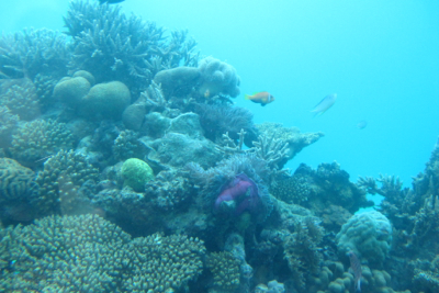 d0298808_1557175.jpg