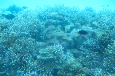 d0298808_1557854.jpg