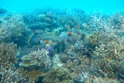 d0298808_15584375.jpg