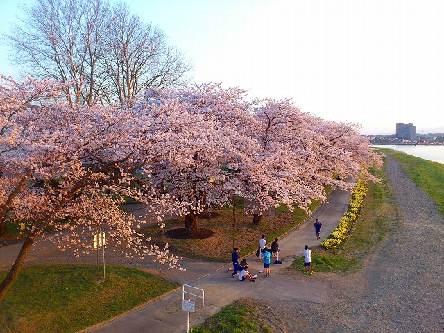 f0100911_22232057.jpg