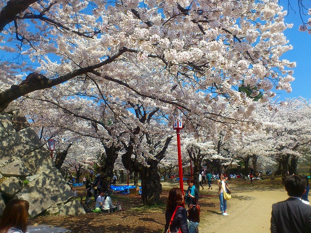 f0100911_22251628.jpg