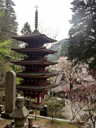 a0105023_1010445.jpg