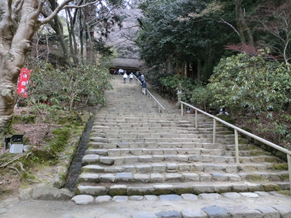 a0105023_942974.jpg