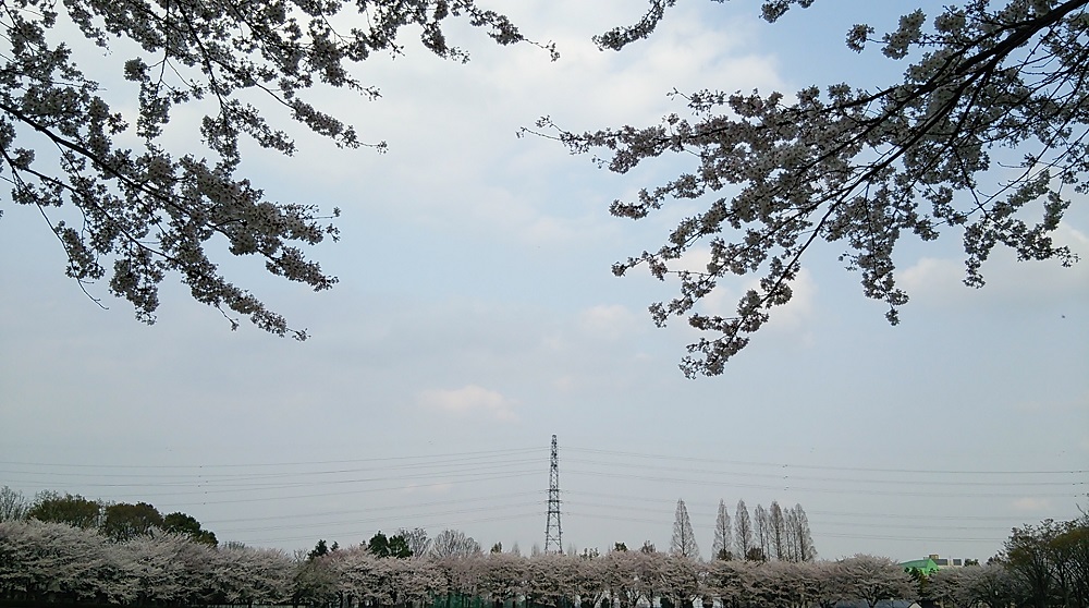 b0199924_15184757.jpg