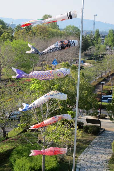 f0147025_22392643.jpg