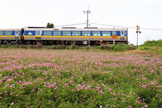 f0007926_9524612.jpg