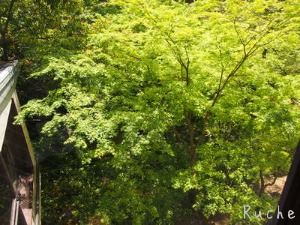 c0103830_1665759.jpg