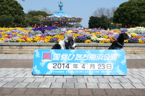 b0085331_12152285.jpg