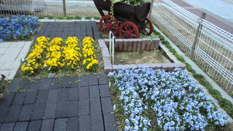 c0236632_8282040.jpg