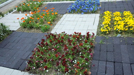 c0236632_8283750.jpg
