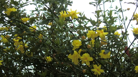 c0236632_8363372.jpg