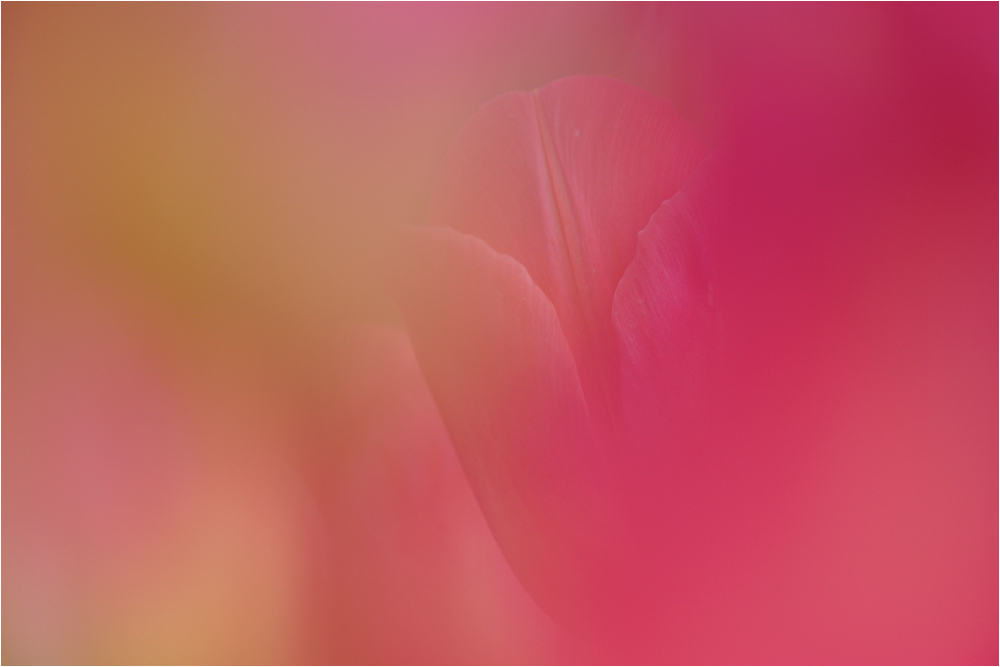 d0328840_13313041.jpg