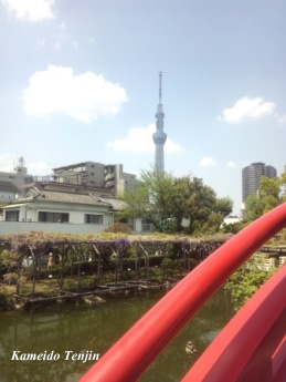 e0141159_17521629.jpg