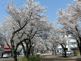 b0218664_1720193.jpg