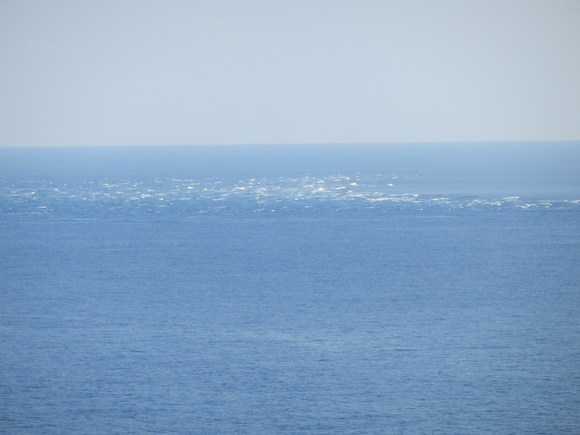 e0292172_20505270.jpg