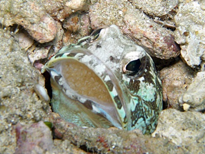 b0033573_22432657.jpg